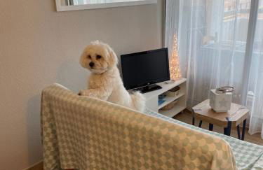 Soleil des Marquises - Foto 12