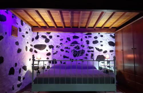 O Pomar do Gasparinho - Foto 9