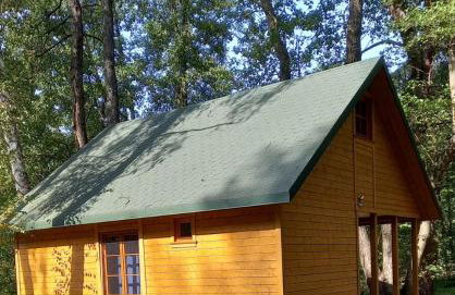 Villa Stare Osieczno - Foto 2