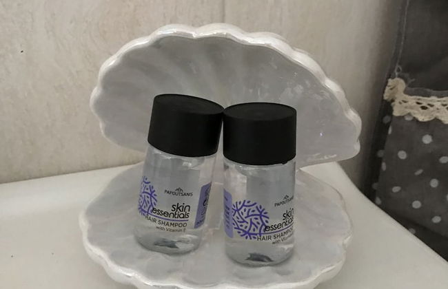 Skopelos Inn - Foto 14