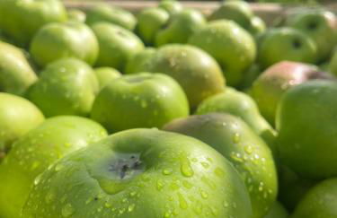 Campbell's Cottage - Foto 9