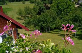 Apartment Dolores - Foto 21