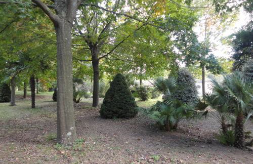 Tenuta Montelaura - Foto 41