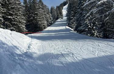 Snow Roc Mountain View - Photo 8