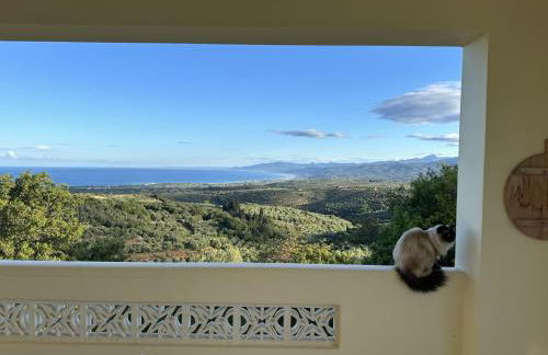 Kyparissia De Wandelboom - Foto 47