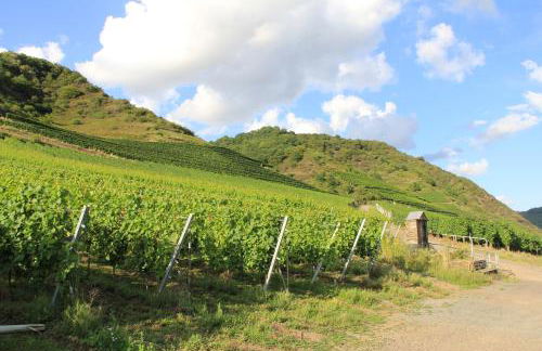 Ferienwohnung Im Bachtal - Foto 59