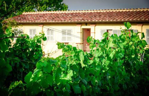 Tenuta Pizzogallo - Foto 35