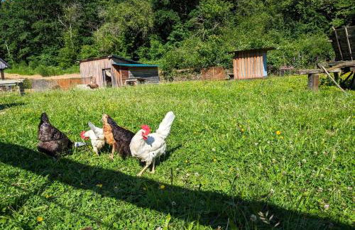 Au Ptit Bonheur De La Semoy - Foto 21