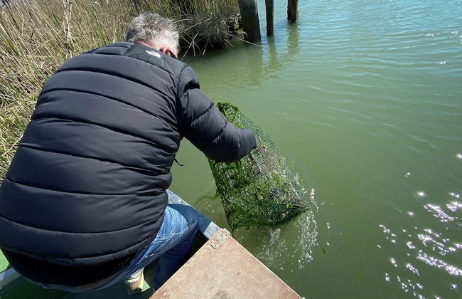 Agriturismo Tenuta Castel Venezze - Foto 54