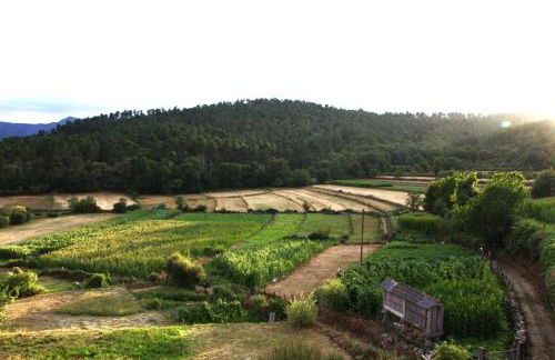 Casa do Caneiro - Foto 43