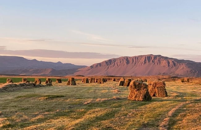 Álftártunga farm guesthouse - Foto 71