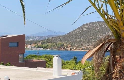 PortoRafti seaview garden Villa - Foto 40