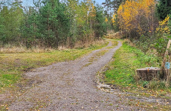 Korvenniemi - Foto 28