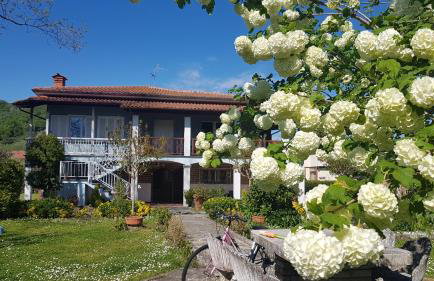 Villa Azzurrina - Photo 2