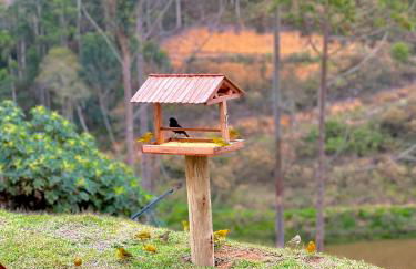 Chalé Belmont - Santa Teresa - Foto 23