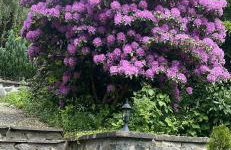 Residence Siedlinghausen - Foto 58