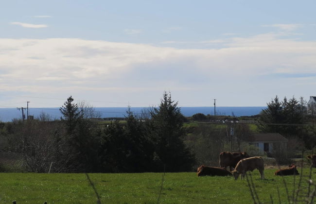 Farm Stay Property Pets and Families Welcome - Foto 30