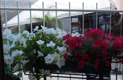 Acqua di Mare - Foto 31