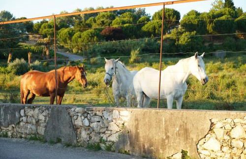 Casa do Jorge - Foto 48