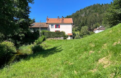 Gîte de charme jusqu'à 14 personnes, Proche du lac de Gérardmer - Foto 38