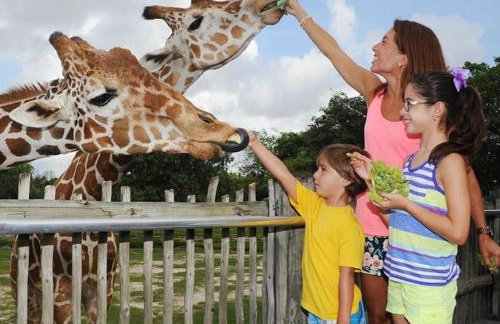 Casa Relax Total - Foto 68