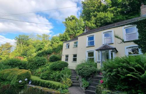 Cosy Cottage overlooking the Teifi Gorge - Foto 12