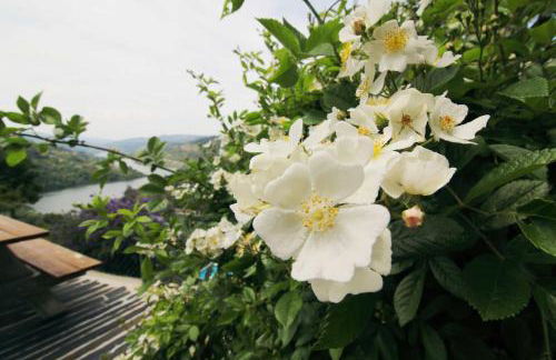 Douro Mesio Guest House - Foto 19