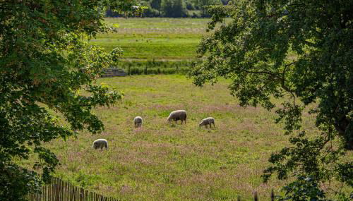 Ferienwohnung Alte Meierei - Foto 5