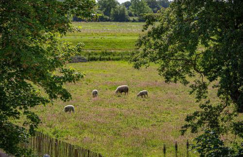 Ferienwohnung Alte Meierei - Foto 5