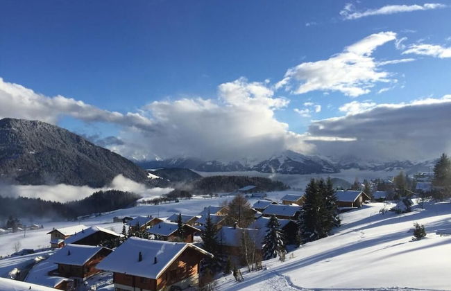 La petite Silène - Foto 10