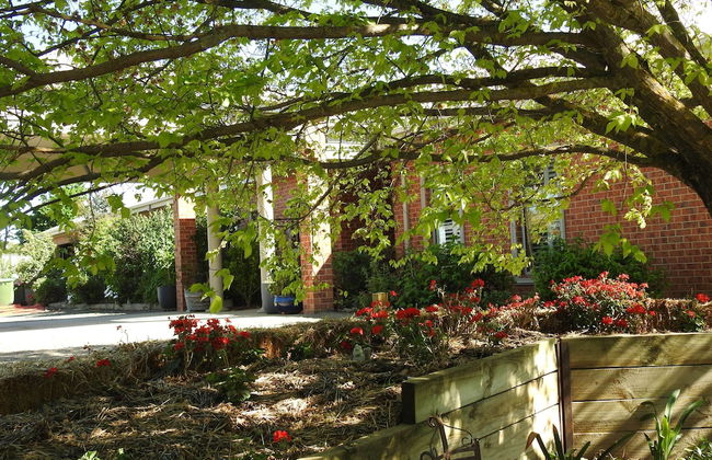 Barkly Suites Apartments - Foto 21