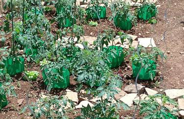 Apartment Lucky Star - 2 Bedroom, Sea View, Large Balcony, Free Parking, BBQ - Foto 44