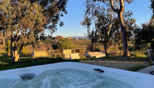 Temecula Rejuvenation - Foto 3