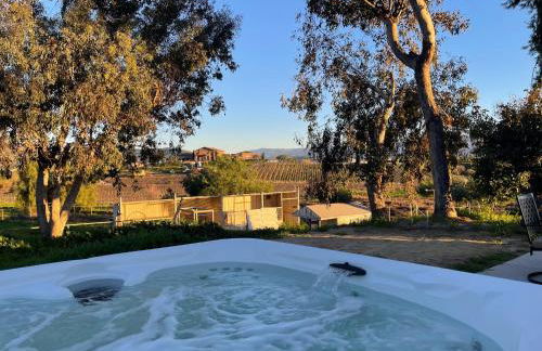 Temecula Rejuvenation - Foto 3