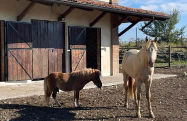 Agriturismo cergallina - Photo 35