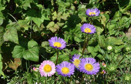 Agriturismo Il Colle - Foto 146