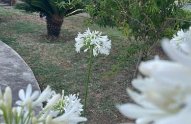 A Casa di Ale - Foto 36