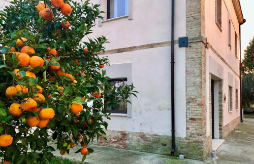 Az. Agr. Parco dei Buoi - Foto 24