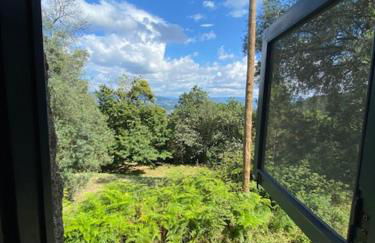 Quinta Abelha - Foto 16