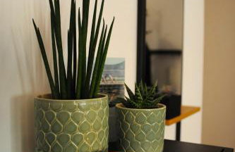 Deluxe-Apartment Altstadt - Foto 12