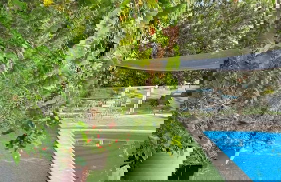 Villa confort et piscine - Photo 38