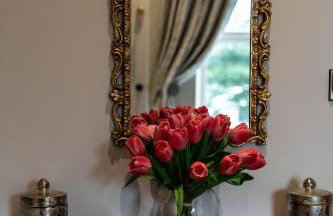 Simmy View 5 Star - Foto 39