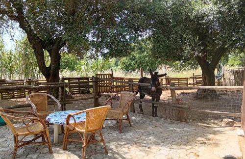 agriturismo heaven - Foto 51