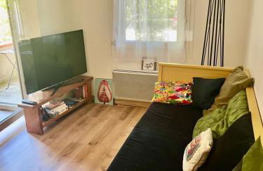 Appartement T2 TOULOUSE ST MARTIN DU TOUCH - Foto 6