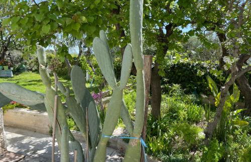 B&B Case Vacanza Orchidea marina di Macchia a Mattinata Gargano - Foto 12