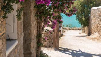 Mymykonos Guest House - Foto 5