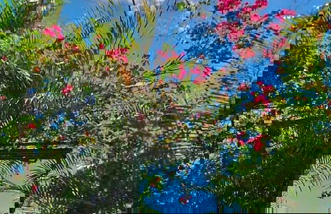 9th Hole Villa - Foto 49