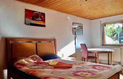 Schurwaldwohnung Adelberg - Foto 1