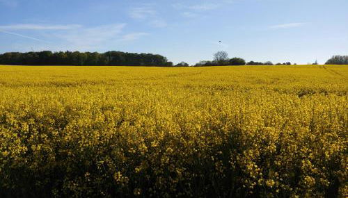 Gut Hohenstein - Meiereiappartment - Foto 3