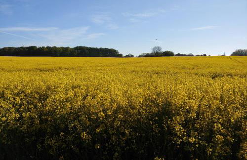 Gut Hohenstein - Meiereiappartment - Foto 3